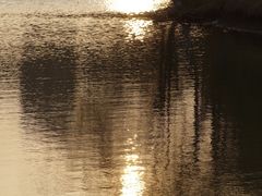 -白塘生态植物园