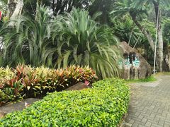 -深圳仙湖植物园