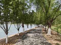 -羊山湖公园