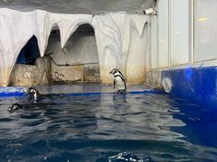 -太平洋海底世界