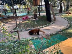 -昆明动物园