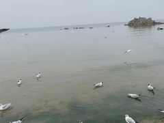 -青水瓦台汤泉(新华店)