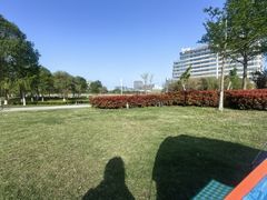 -南汇新城城市公园