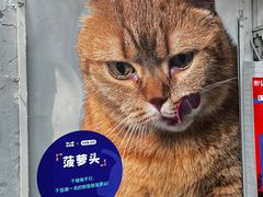 -方浜中路45弄小区