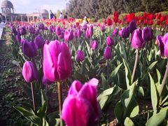 -长春公园(普阳街道)