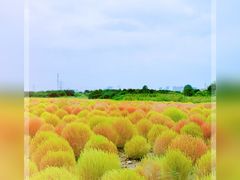 -映月湖中央公园