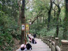 -普陀山风景区-佛顶山