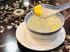 -大中鱼翅 Taitong Shark Fin