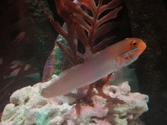 -沈阳海洋探索中心