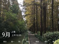 -上海怡沁园度假酒店