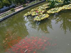 -辽东学院(南校区)