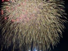 -台场海滨公园船码头