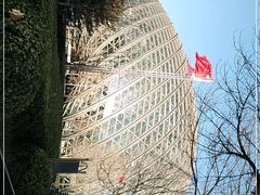 -凤凰中心
