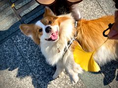 -三圣花乡旅游区