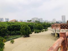 -霞山观海长廊