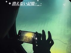 -白鹤梁水下博物馆