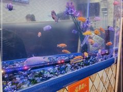 -新辉港式茶餐厅(北栅店)