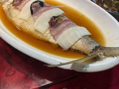 酒糟蒸鲥鱼-三林本帮馆(中林街店)