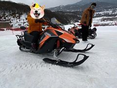 -太子岭滑雪场