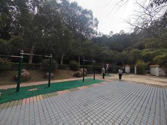 -滴水岩森林公园