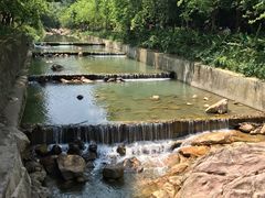 -广州白江湖森林公园