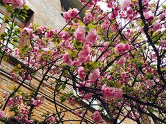 iphone_upload_pic-贵州师范大学(宝山北路校区)