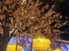 大堂-绿茶餐厅(昌平悦荟店)