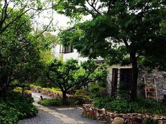 -田园东方蜜桃村的田野营地