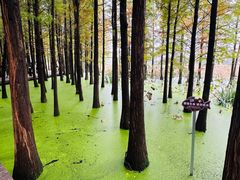 -云龙湖旅游景区