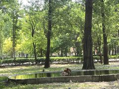 -秦皇岛野生动物园