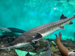 -太平洋海底世界