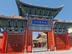 -鸠摩罗什寺