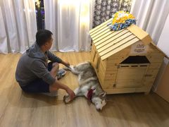 -Husky Go! 哈士奇体验馆·宠物咖啡厅狗咖