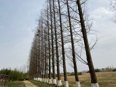 -良渚古城遗址公园
