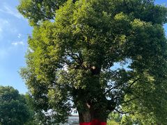 -养云安缦吧THE BAR