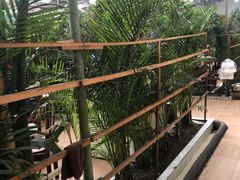 -天发长铁锅炖(王秀村店)