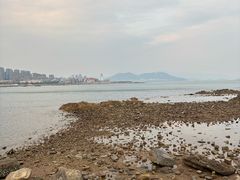 -小麦岛公园