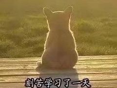 -赛百味SUBWAY(勒泰店)