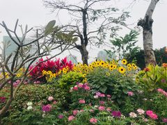 -二沙岛艺术公园