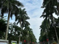 -万绿园