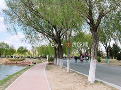 -丁香湖公园
