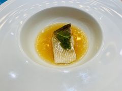 -诺莱仕游艇会
