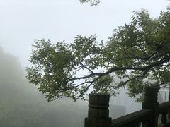 -普陀山风景区-佛顶山