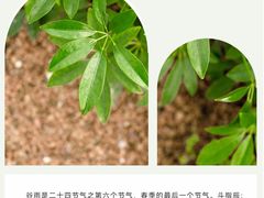 -合生城邦四街坊