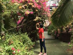 -呀路古热带植物园