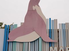 -海合安成都极地海洋公园