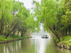 -溱湖国家湿地公园