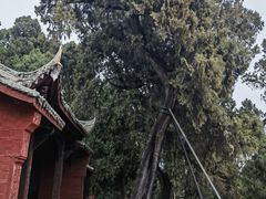 -七曲山风景区