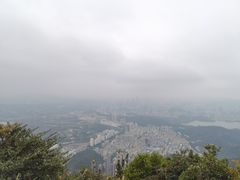 -梧桐山风景名胜区