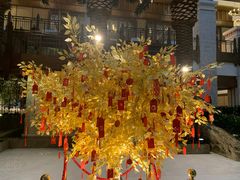 -太湖饭店玉兰厅(自助餐厅)